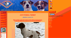 Desktop Screenshot of jack-russell-terrier-jrt.cz