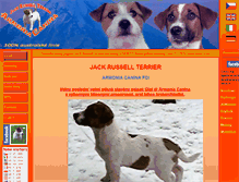 Tablet Screenshot of jack-russell-terrier-jrt.cz
